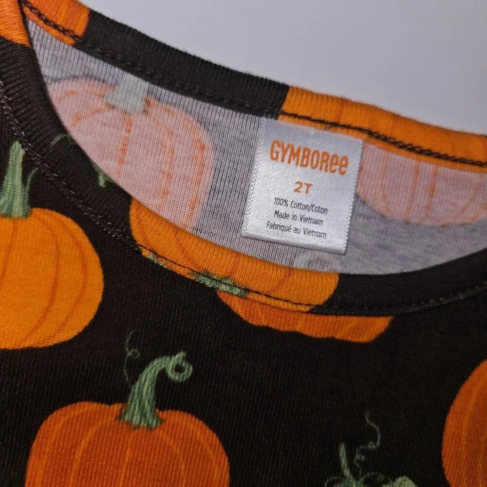Gymboree Perfect Pumpkin Dress Toddler 2T Brown Orange Halloween Thanksgiving